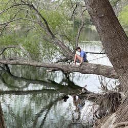 Utopia Park Lake Dam