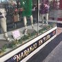 Photo of Naranjo en Flor