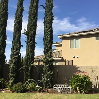 New Image Landscaping - Landscaping Near Me