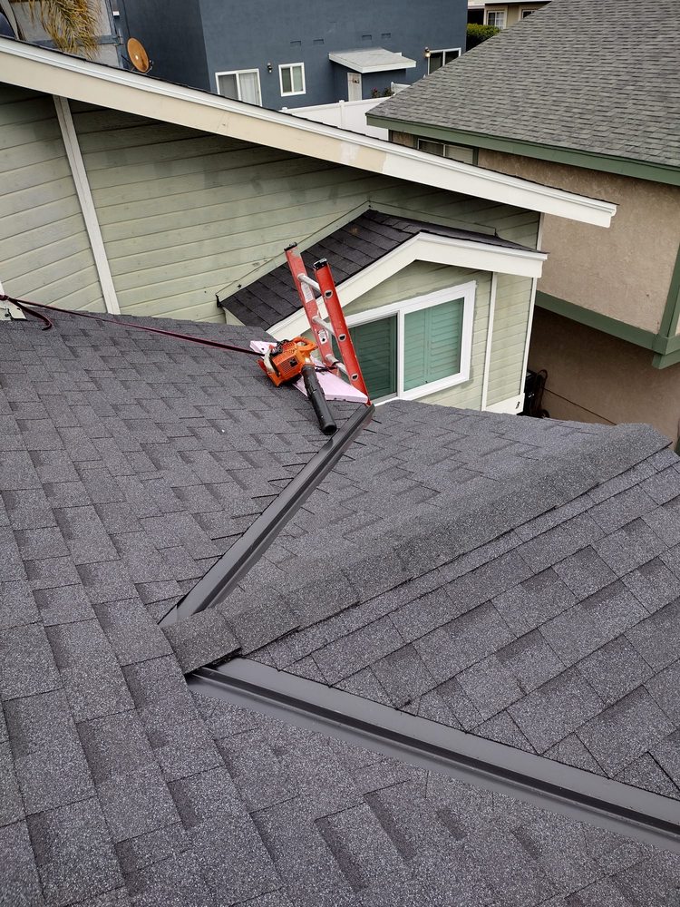 Slide of Roofs of Art