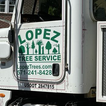 Lopez Tree Services - Tree Services Near Me - Alexandria, Virginia Lopez Tree Services - Tree Services Near Me - Alexandria, Virginia