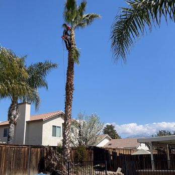 One Way Tree Care - Tree Services Near Me One Way Tree Care - Tree Services Near Me