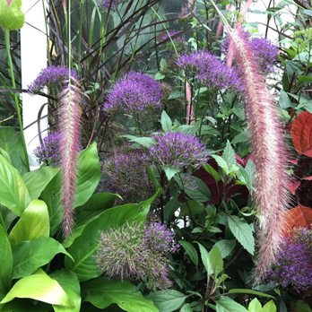 Volunteer Park Conservatory - Parks Near Me - Seattle, Washington Volunteer Park Conservatory - Parks Near Me - Seattle, Washington