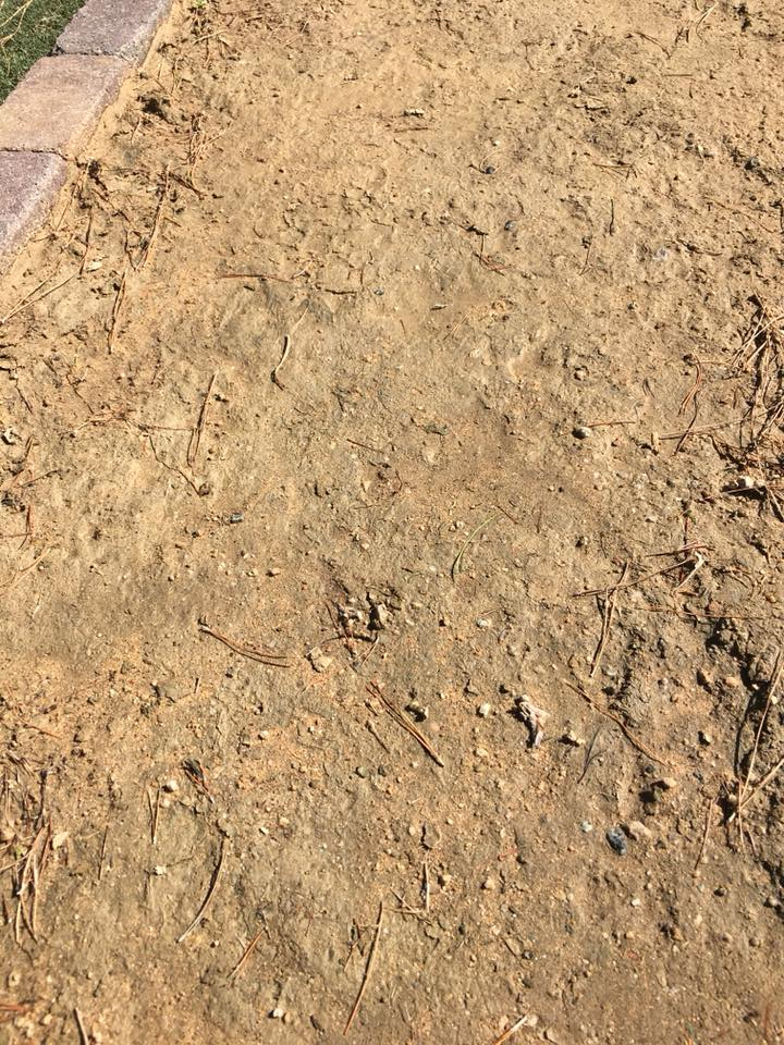 Desert Center, California intelligence overview