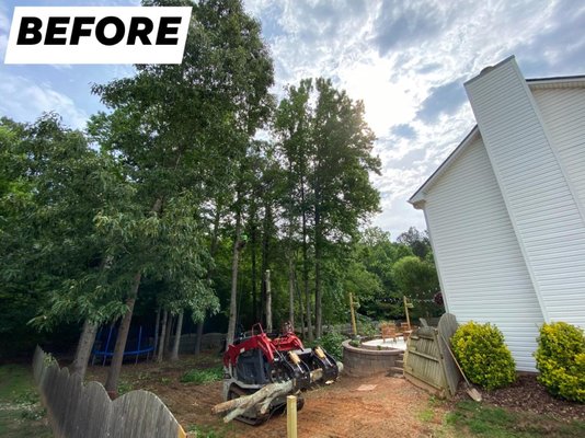 Comprehensive range of tree care services - Tree Time’s goal is to be your first choice when you need professional and timely tree services. We hit our target when we exceed your expectations. Comprehensive range of tree care services - Tree Time’s goal is to be your first choice when you need professional and timely tree services. We hit our target when we exceed your expectations.