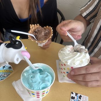 The Magic Cow - Ice cream - Ice Cream & Frozen Yogurt Near Me - Davie, Florida The Magic Cow - Ice cream - Ice Cream & Frozen Yogurt Near Me - Davie, Florida