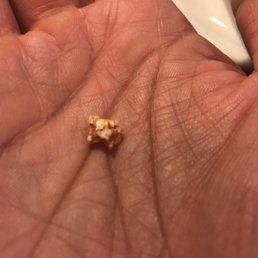 Most of the food is covered in this flavored salt Most of the food is covered in this flavored salt