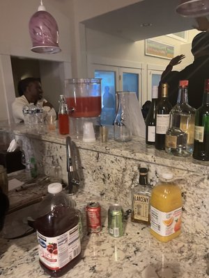 The Hamilton Howell House by null