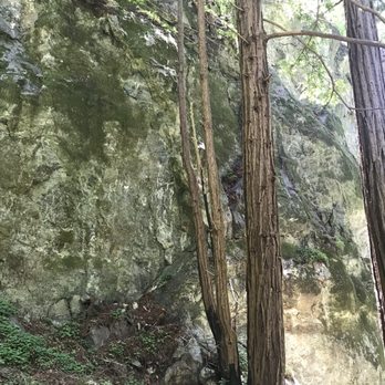 Limekiln State Park - Hare Creek Trail? - Campgrounds Near Me - Big Sur, California