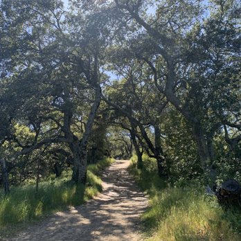 Briones Regional Park - Parks Near Me - Martinez, California Briones Regional Park - Parks Near Me - Martinez, California