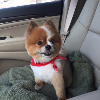 Woof Central - Pet Groomers Near Me - Richfield, Minnesota Woof Central - Pet Groomers Near Me - Richfield, Minnesota