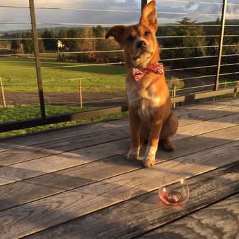Ruby Vineyard and Winery - Wineries Near Me - Hillsboro, Oregon