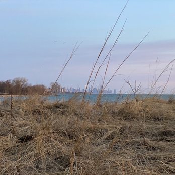 South Shore Nature Sanctuary - Grasslands w/the ever present Chicago skyline in the background - Parks Near Me - Chicago, Illinois South Shore Nature Sanctuary - Grasslands w/the ever present Chicago skyline in the background - Parks Near Me - Chicago, Illinois