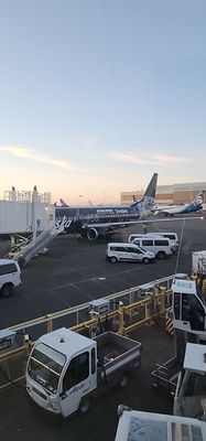 Alaska Airlines - Seattle, WA by null