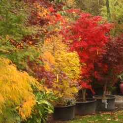 Roger Cross Landscaping and Nursery