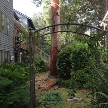 Absolute Trees - Crane removal of a large dead pine between 2 condos - Tree Services Near Me - Mount Pleasant, South Carolina Absolute Trees - Crane removal of a large dead pine between 2 condos - Tree Services Near Me - Mount Pleasant, South Carolina