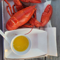 Great food! Pick your lobster at$6.99/lb