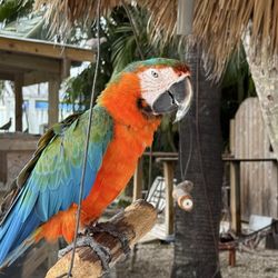 Delray Garden Center
