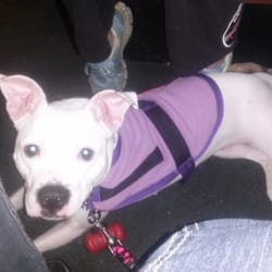 Villa's Pizza Restaurant - My well behaved gal