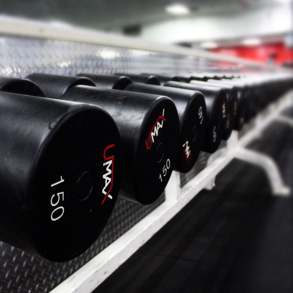 Fitness System - Dumbbells go to 150!! Heaviest weights in Lodi - Trainers Near Me - Lodi, California Fitness System - Dumbbells go to 150!! Heaviest weights in Lodi - Trainers Near Me - Lodi, California