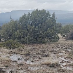 Shoofly Ruins - The area