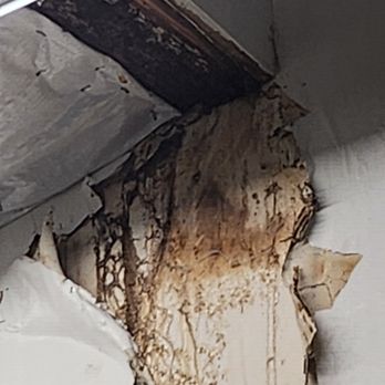 Public Storage - Drywall Mold from roof leaking. - Self Storage Near Me - Houston, Texas Public Storage - Drywall Mold from roof leaking. - Self Storage Near Me - Houston, Texas