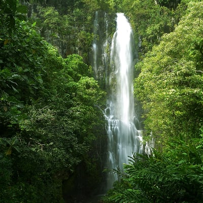 Maui Visitors Bureau