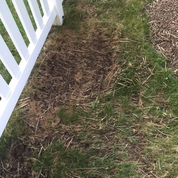 ATD Landscaping - Landscaping Near Me ATD Landscaping - Landscaping Near Me