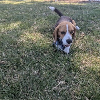 Poway Dog Park - Dog Parks Near Me - Poway, California