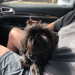 Right after grooming