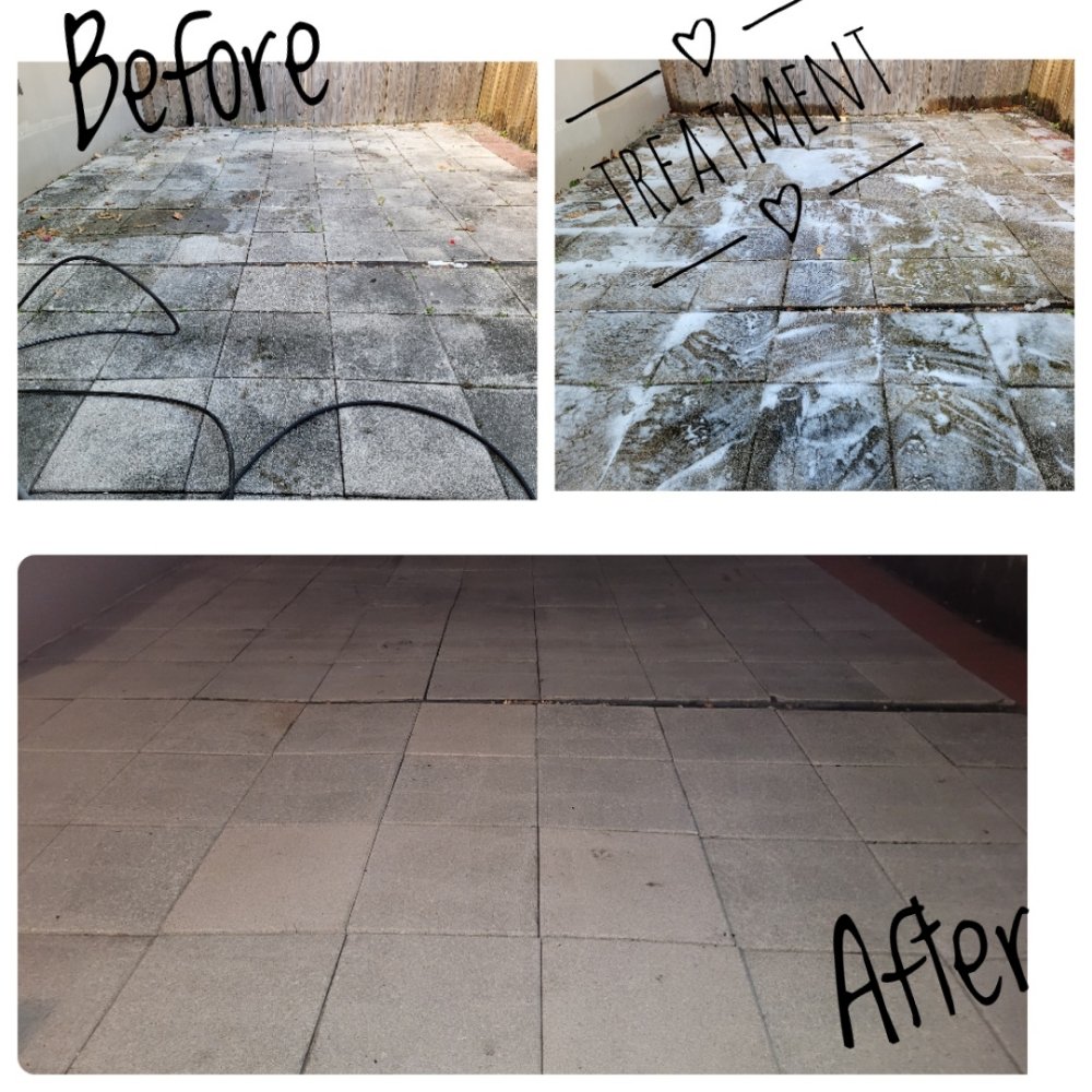 WITTER PRESSURE WASH AND AUTO DETAIL Updated May 2024 11 Photos