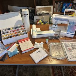 Mr. Vac and Mrs. Sew - Brother PE900 and the Starter Kit