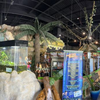 Branson Wild World - Great shopping area too and reasonably priced. - Aquariums Near Me - Branson, Missouri