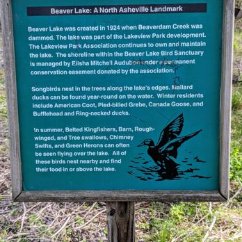 Beaver Lake Bird Sanctuary - Parks Near Me - Asheville, North Carolina Beaver Lake Bird Sanctuary - Parks Near Me - Asheville, North Carolina