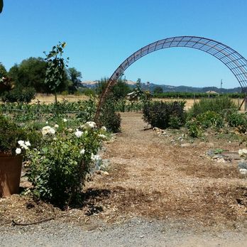 Truett Hurst - Pretty farm. - Wine Tasting Room Near Me - Healdsburg, California Truett Hurst - Pretty farm. - Wine Tasting Room Near Me - Healdsburg, California