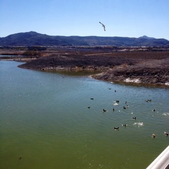 Cornerstone Park - Ducks having a great day too! - Lakes Near Me - Henderson, Nevada Cornerstone Park - Ducks having a great day too! - Lakes Near Me - Henderson, Nevada