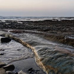 Pipes Beach - Low Tide reveals an ancient fossilized reef  - Happy New Years Day at Pipes 2025