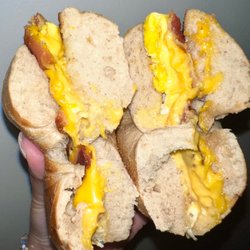 Terrace Bagels & Cafe - Whole wheat bagel with bacon, egg and cheese