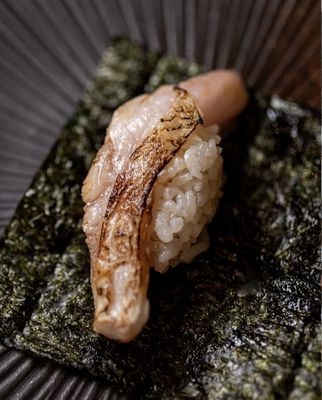 Sushi Gaga by null