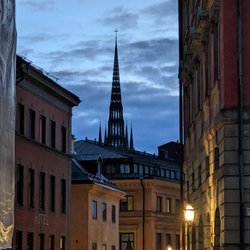 Riddarholmskyrkan - Riddarholmskyrkan at dusk