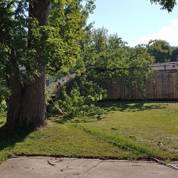 AAA Tree Service - Tree Services Near Me