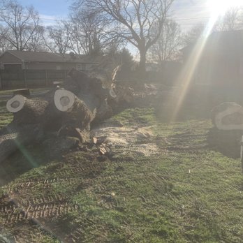 Top Too Bottom Tree Care - Tree Services Near Me Top Too Bottom Tree Care - Tree Services Near Me