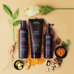 The Noble Root Salon - The Noble Root Salon