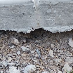 Mattingly Concrete - Missing paving material.