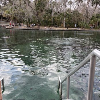 Wekiwa Springs State Park - Parks Near Me - Apopka, Florida Wekiwa Springs State Park - Parks Near Me - Apopka, Florida