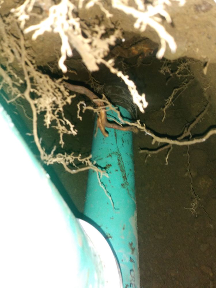 Slide of Metropolitan Sewer Service