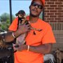 Photo of Darius' Dogs