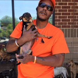 Darius' Dogs