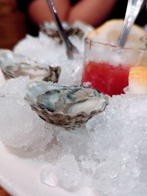 The Observatory by null The Observatory by null