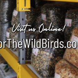 For The Wild Birds